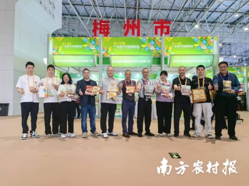 智創未來，AI賦能 蕉嶺毛竹品牌煥新，實業公司引領產業升級