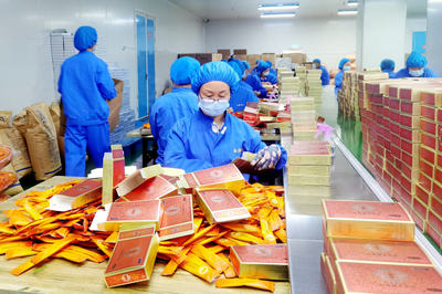 強化科技創新引擎，阿榮旗引領民營企業高質量發展